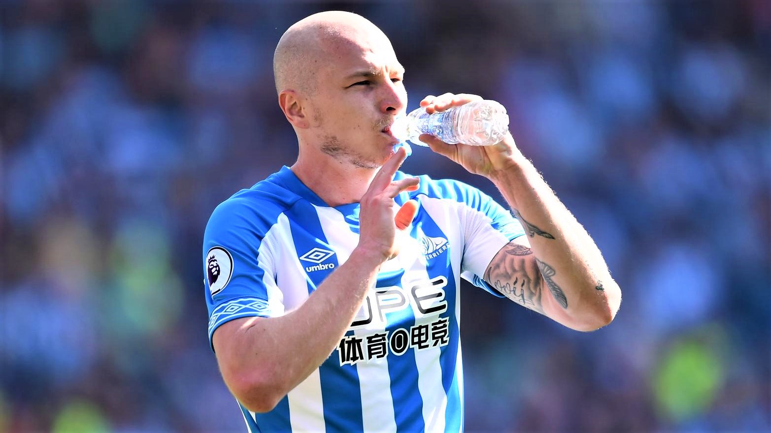 关于今夜体能课后，布莱顿临场应变备战亚冠，震撼外界，身体对抗强度拉满的信息